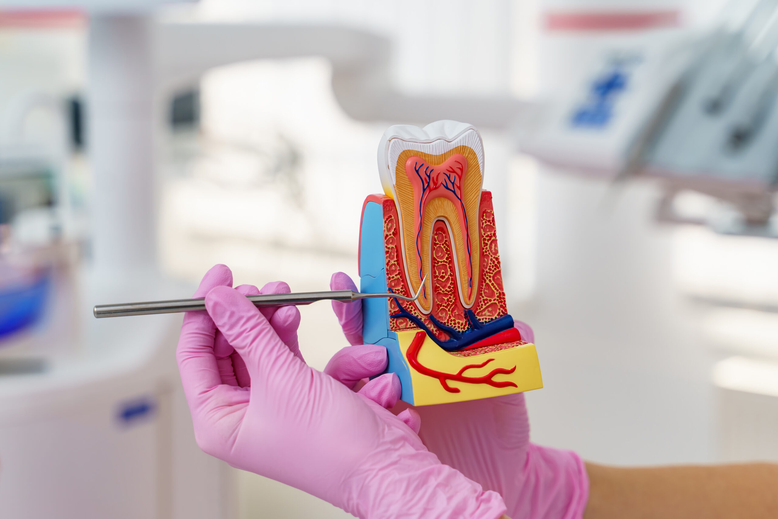 Ortodoncia a čeľustná ortopédia Ortho Keep Smiling